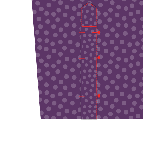 Pin placket in place